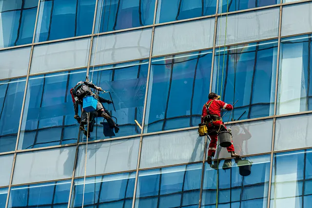 trabajos verticales